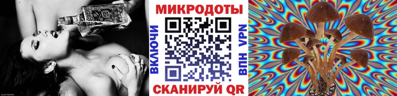 Псилоцибиновые грибы мицелий  Камышлов 
